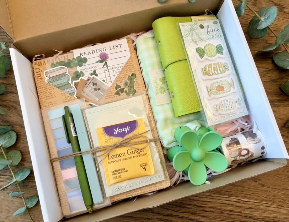 The Bookish Book Box- Blind Date With a Book