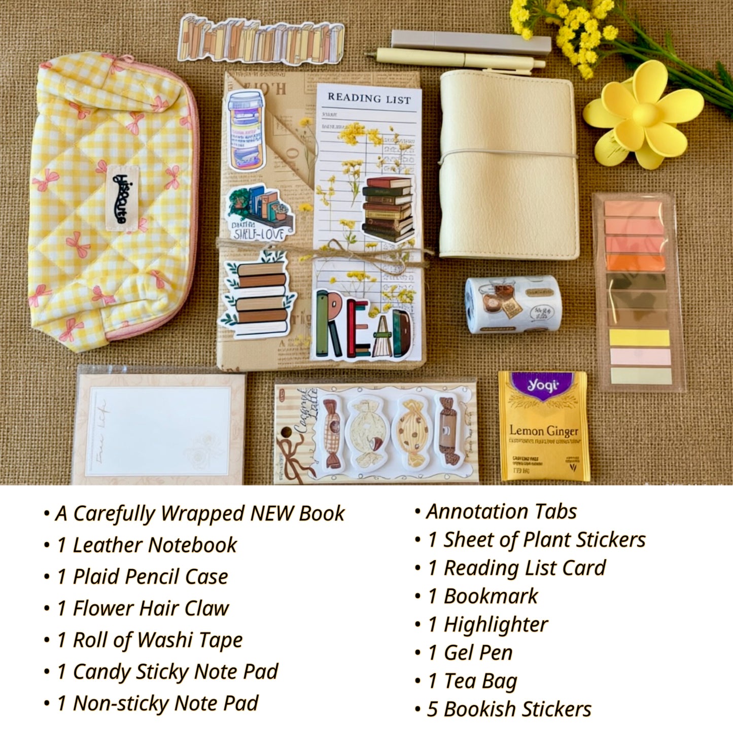 The Bookish Book Box- Blind Date With a Book