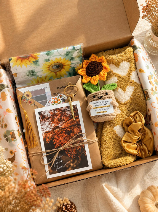 The Sunlit Pages Box